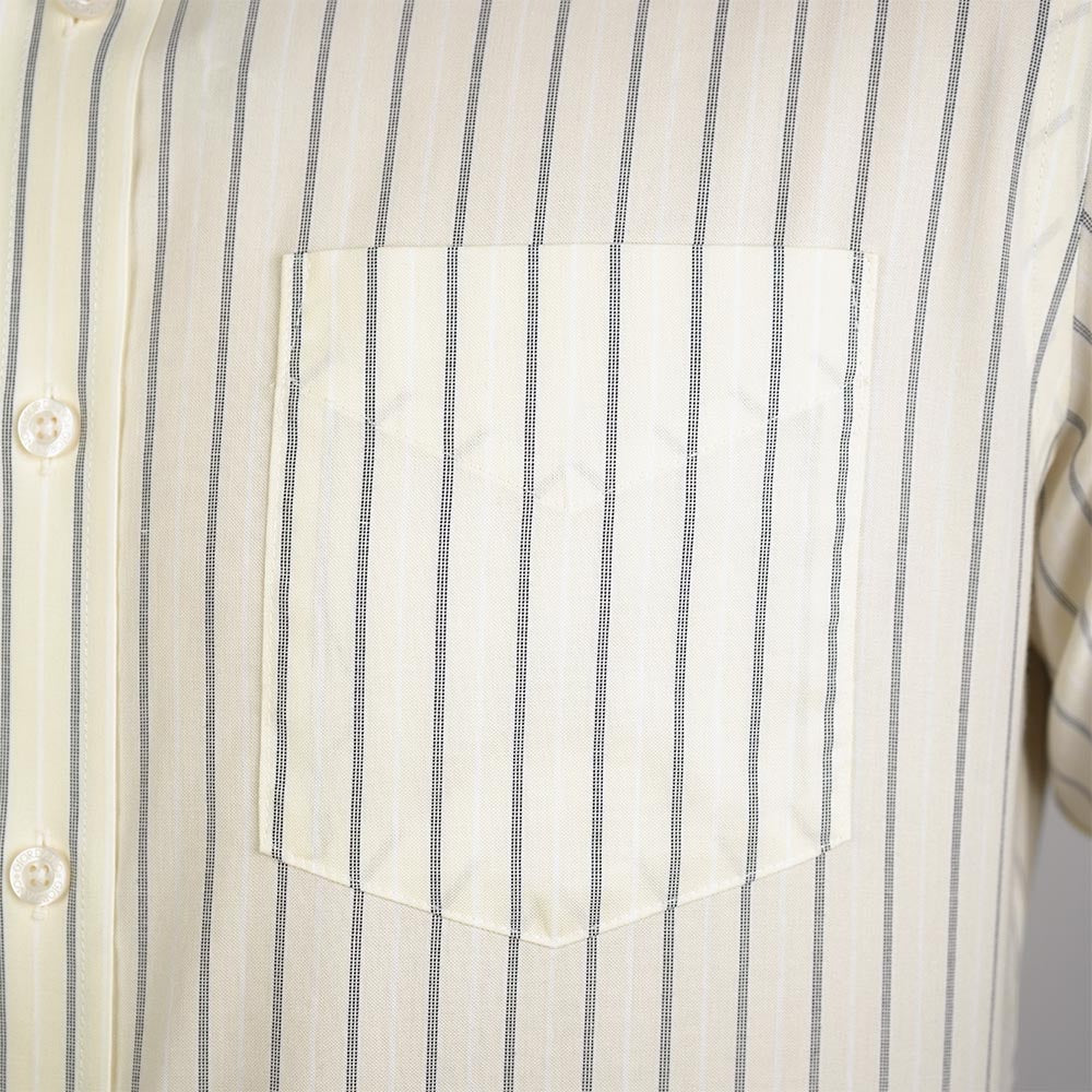Men Wrinkle Free Regular Fit Oxford Shirt