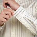 Men Wrinkle Free Regular Fit Oxford Shirt