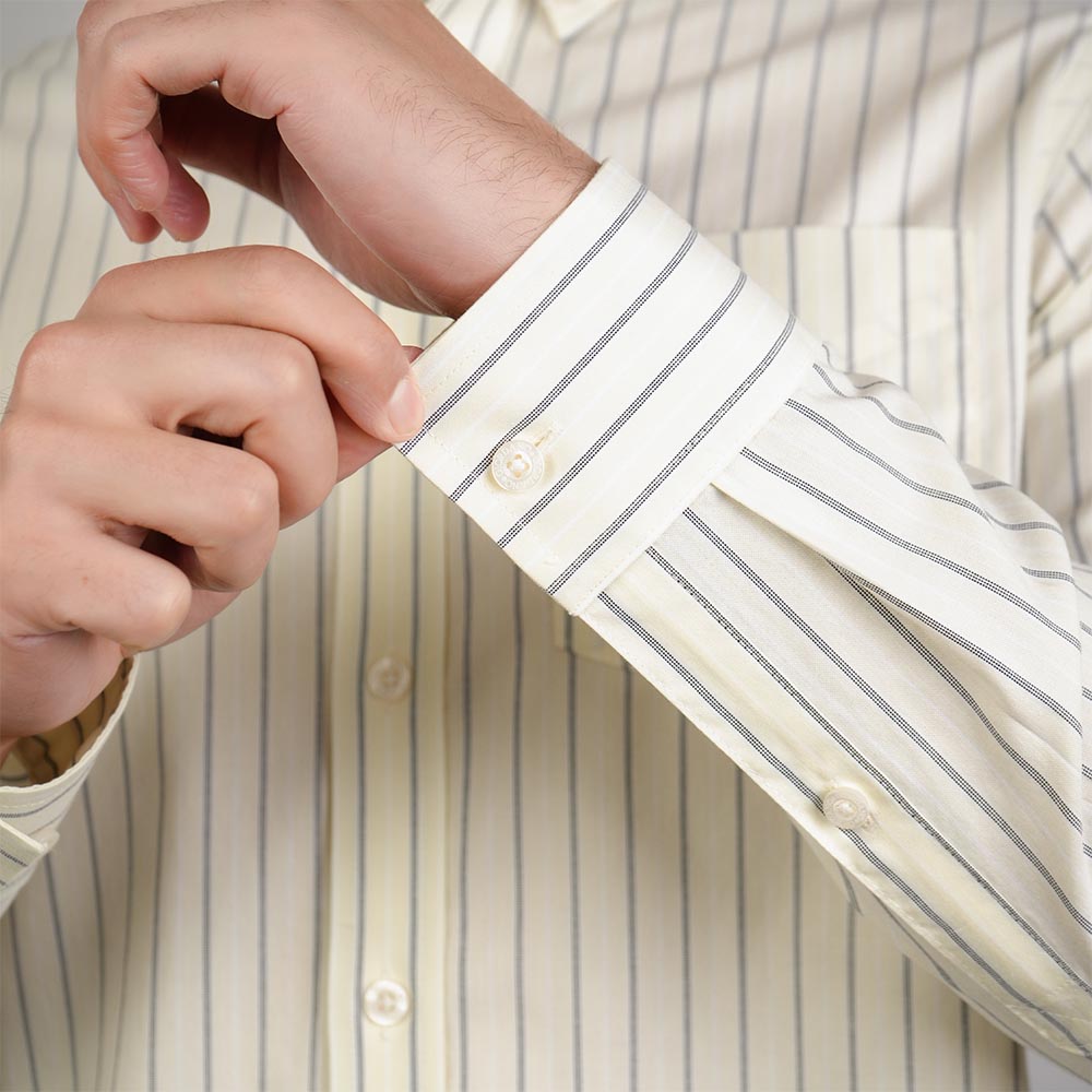 Men Wrinkle Free Regular Fit Oxford Shirt