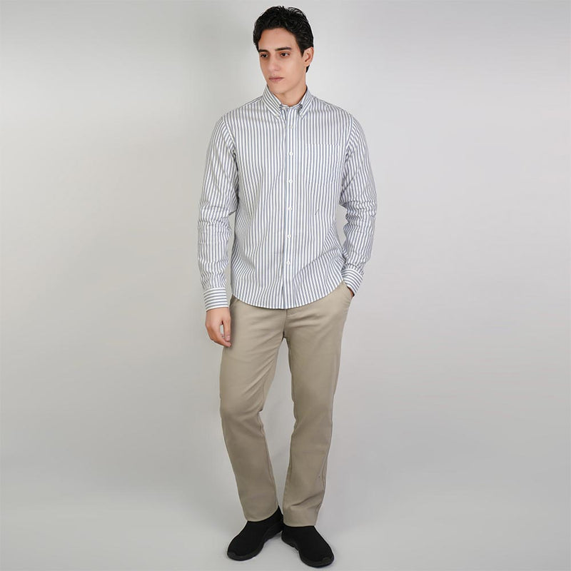 Men Wrinkle Free Regular Fit Oxford Shirt