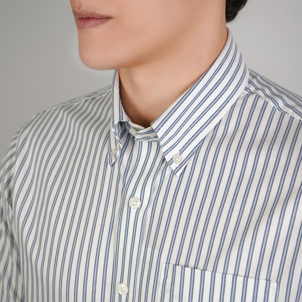 Men Wrinkle Free Regular Fit Oxford Shirt