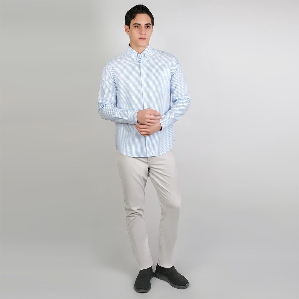 Men Wrinkle Free Regular Fit Oxford Shirt