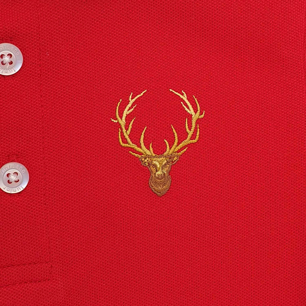 Junior Polo