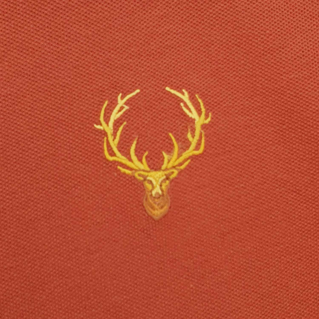 Junior Polo
