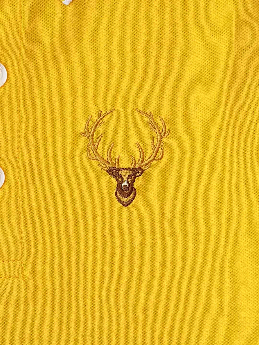 Junior Polo