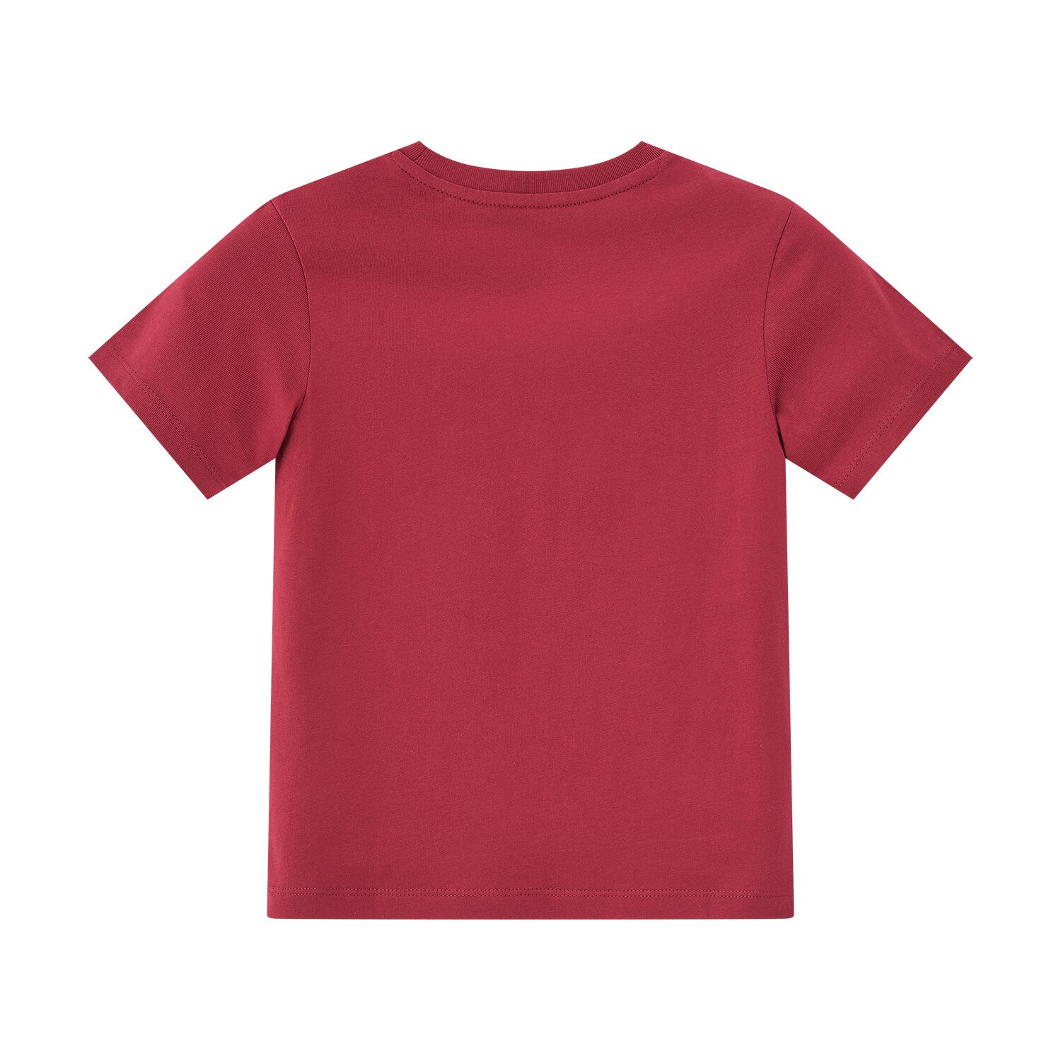 Kid's Cotton Harry Potter Print Tee - Limited Edition Collection