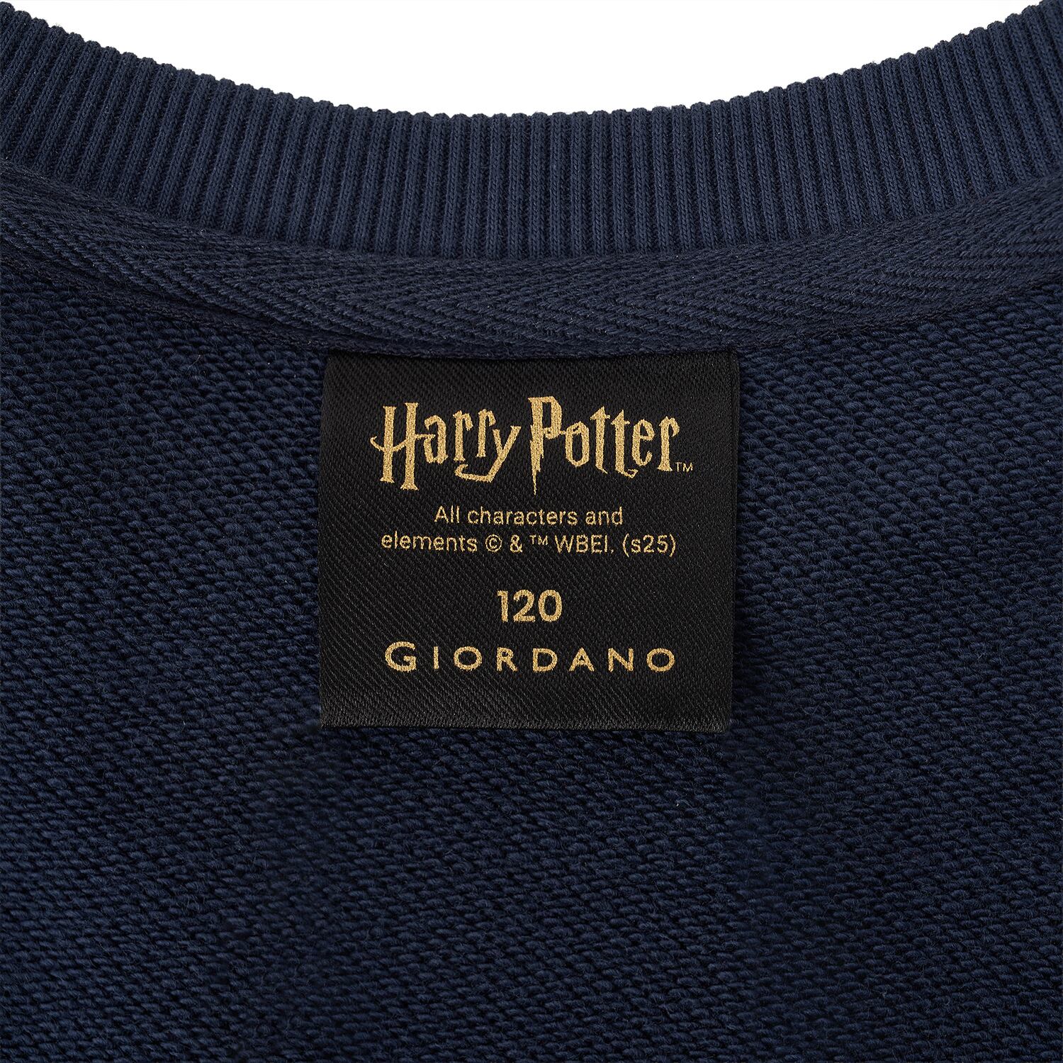 Kid's Harry Potter Printed Sweatshirt - Limited Edition Collection Cotton Polyester