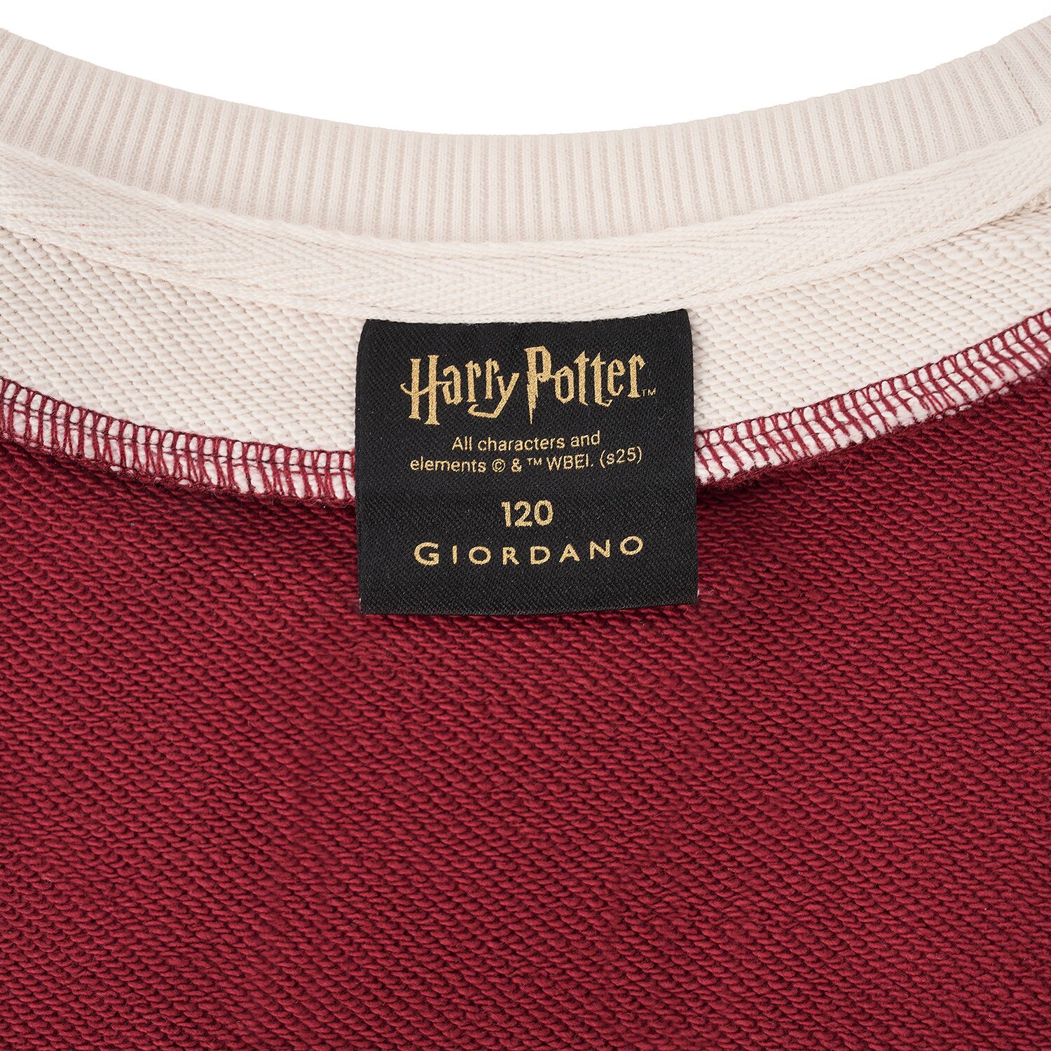 Kid's Harry Potter Printed Cotton Plolyester Sweatshirt - Limited Edition Collection