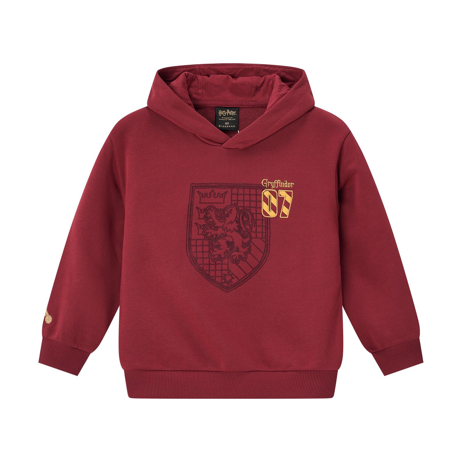 Kid's Cotton Polyester Harry Potter Printed Hoodie - Limited Edition Collection