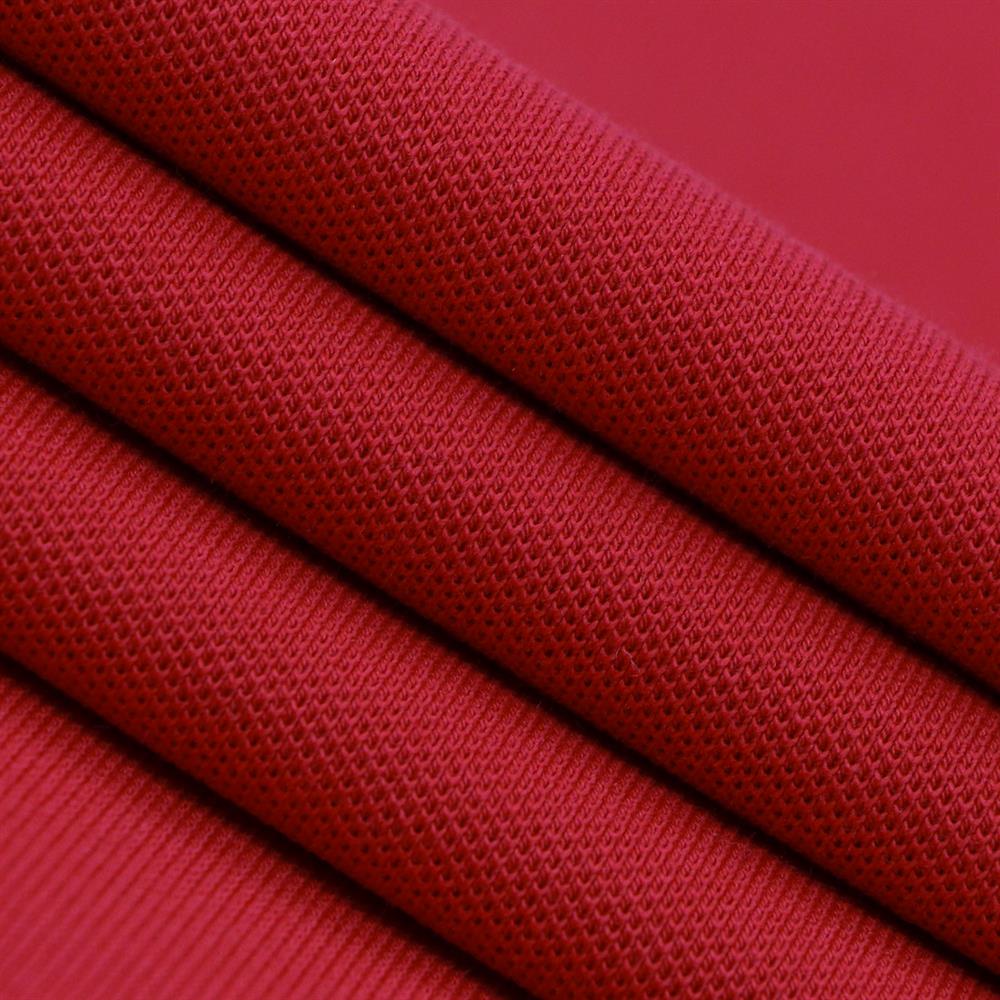 Women's Cotton Lycra 3D Lion Embroidery Polo