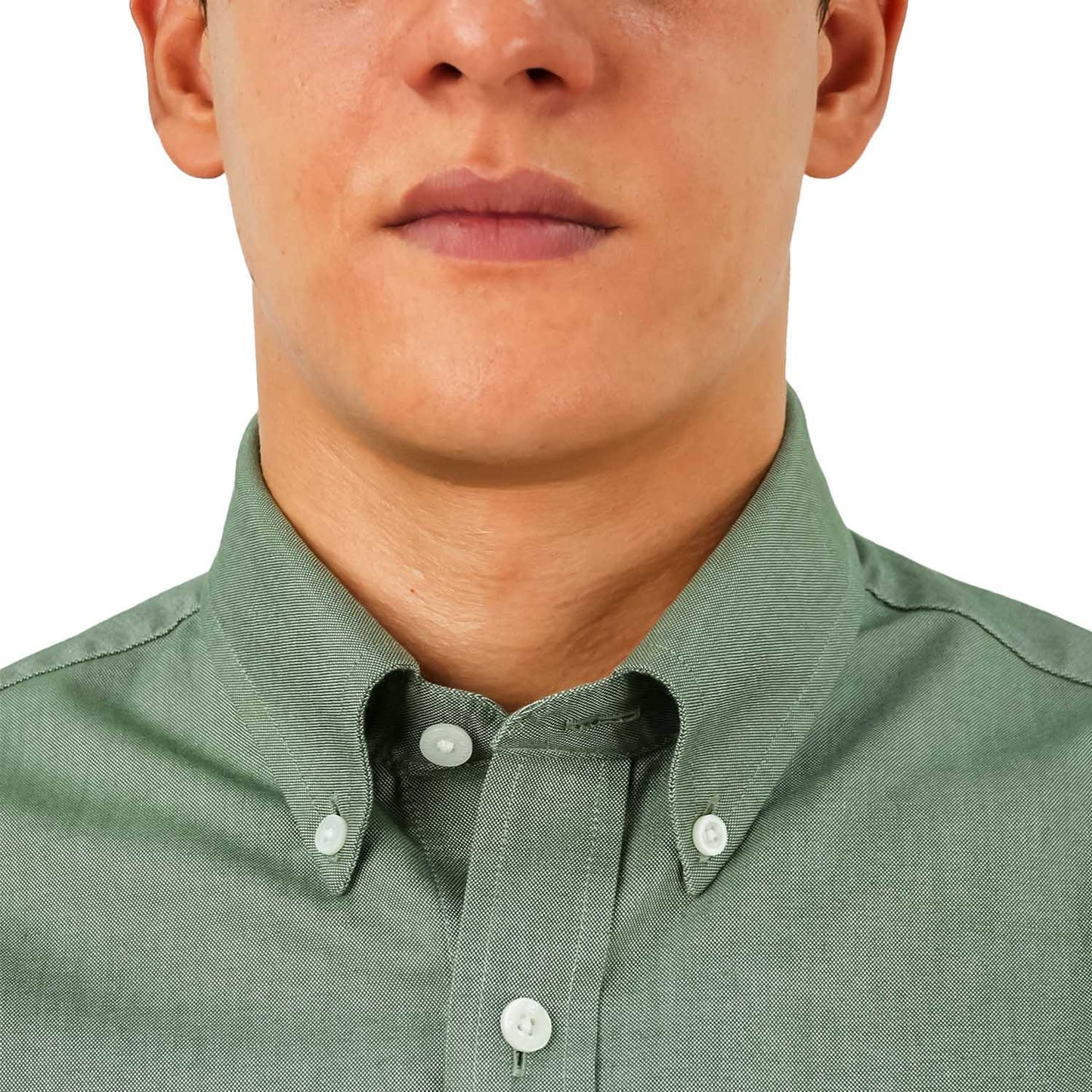 Men Wrinkle Free Shirt