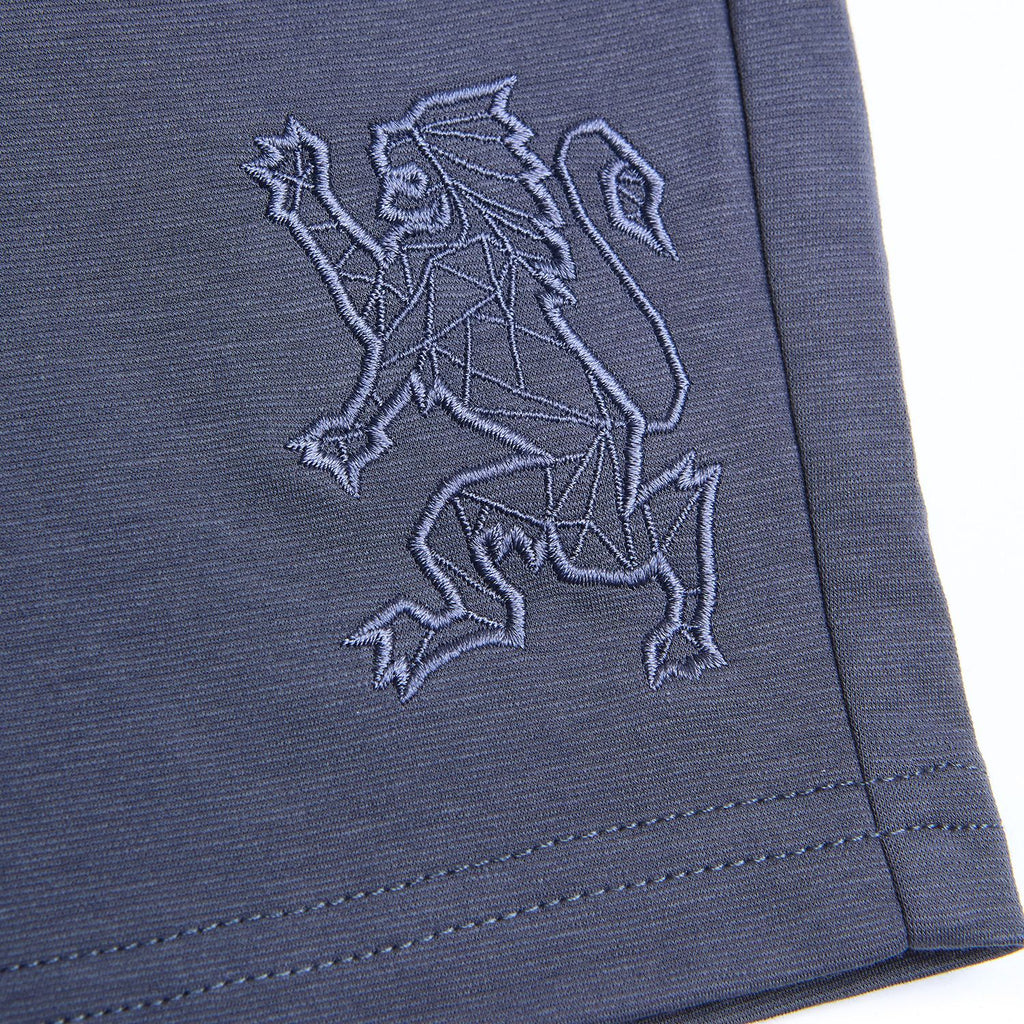 Men Regular Interlock Embroidery Shorts
