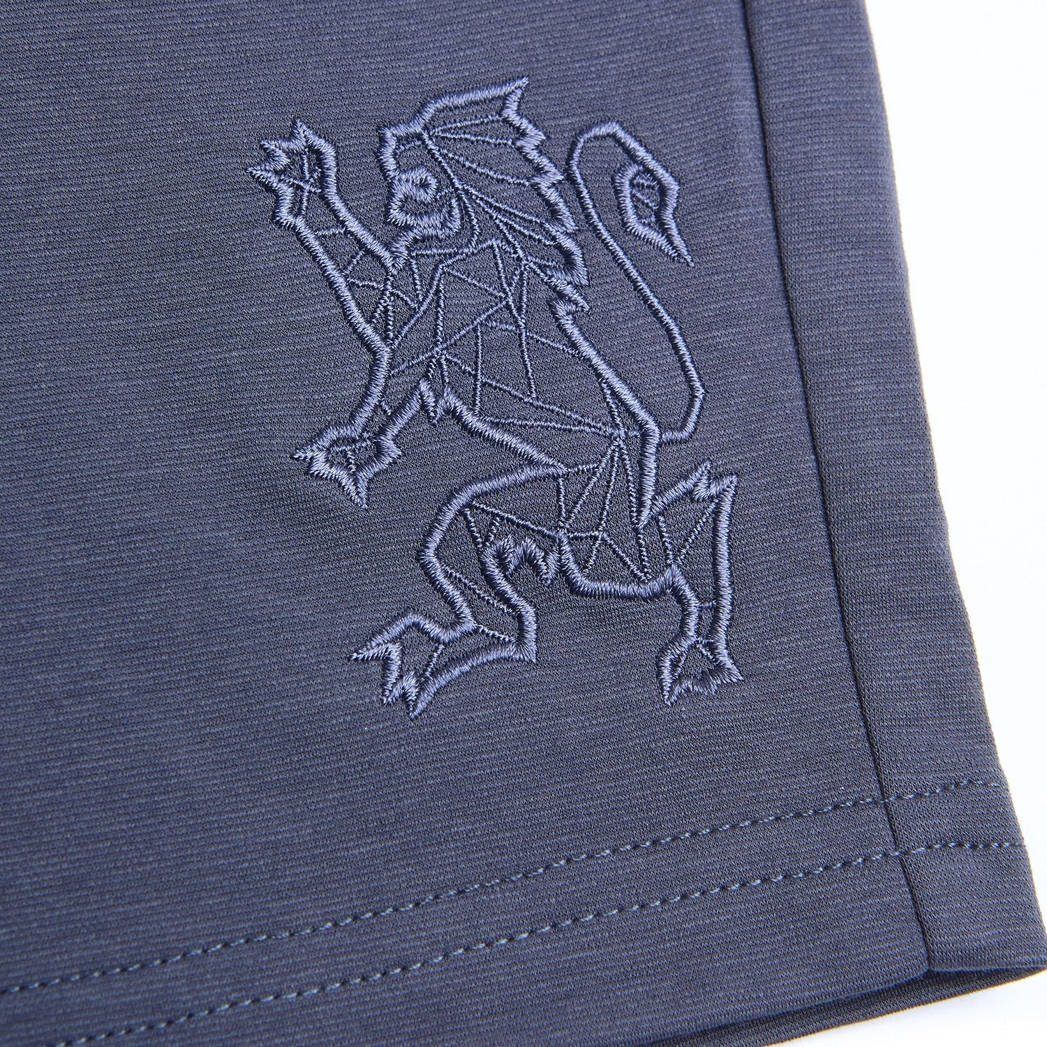 Men Regular Interlock Embroidery Shorts