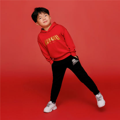 Kids Kung Fu Panda Series French Terry Hoodie