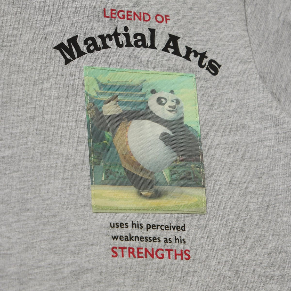 Giordano Kids Kung Fu Panda Series Cotton Jersey Crewneck Print Tee - Premium Print Tee