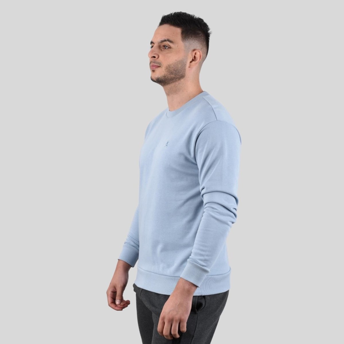 Giordano Men's Long Sleeve Crewneck Sweaters - Premium Sweaters