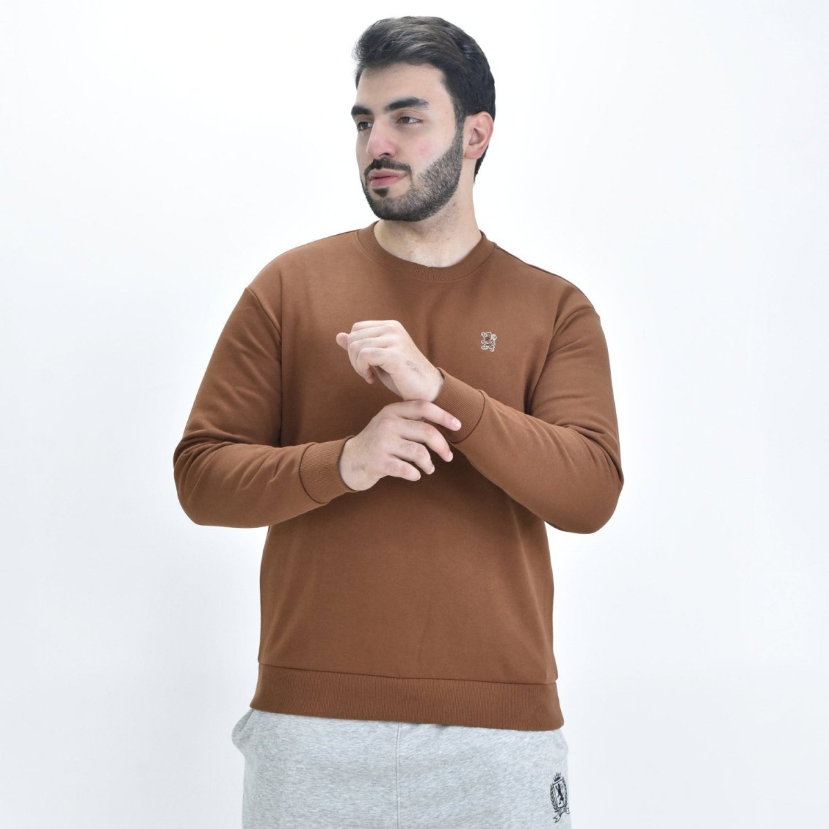Giordano Men's Long Sleeve Crewneck Sweaters - Premium Sweaters