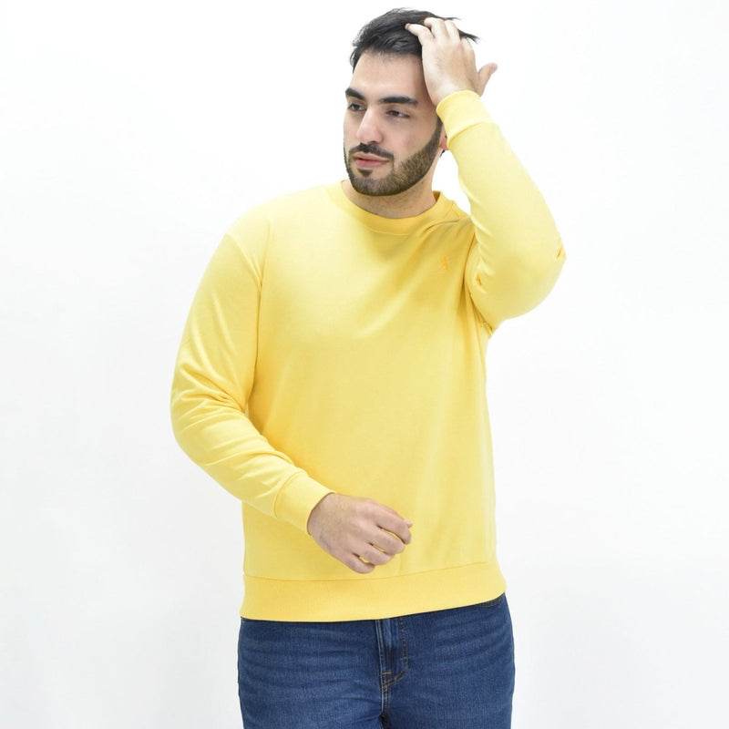 Giordano Men's Long Sleeve Crewneck Sweaters - Premium Sweaters