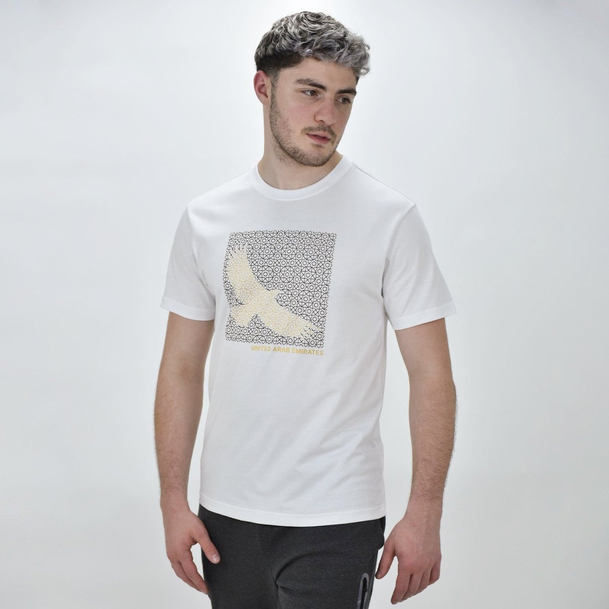 Giordano Men's Print Tee - Premium Print Tee
