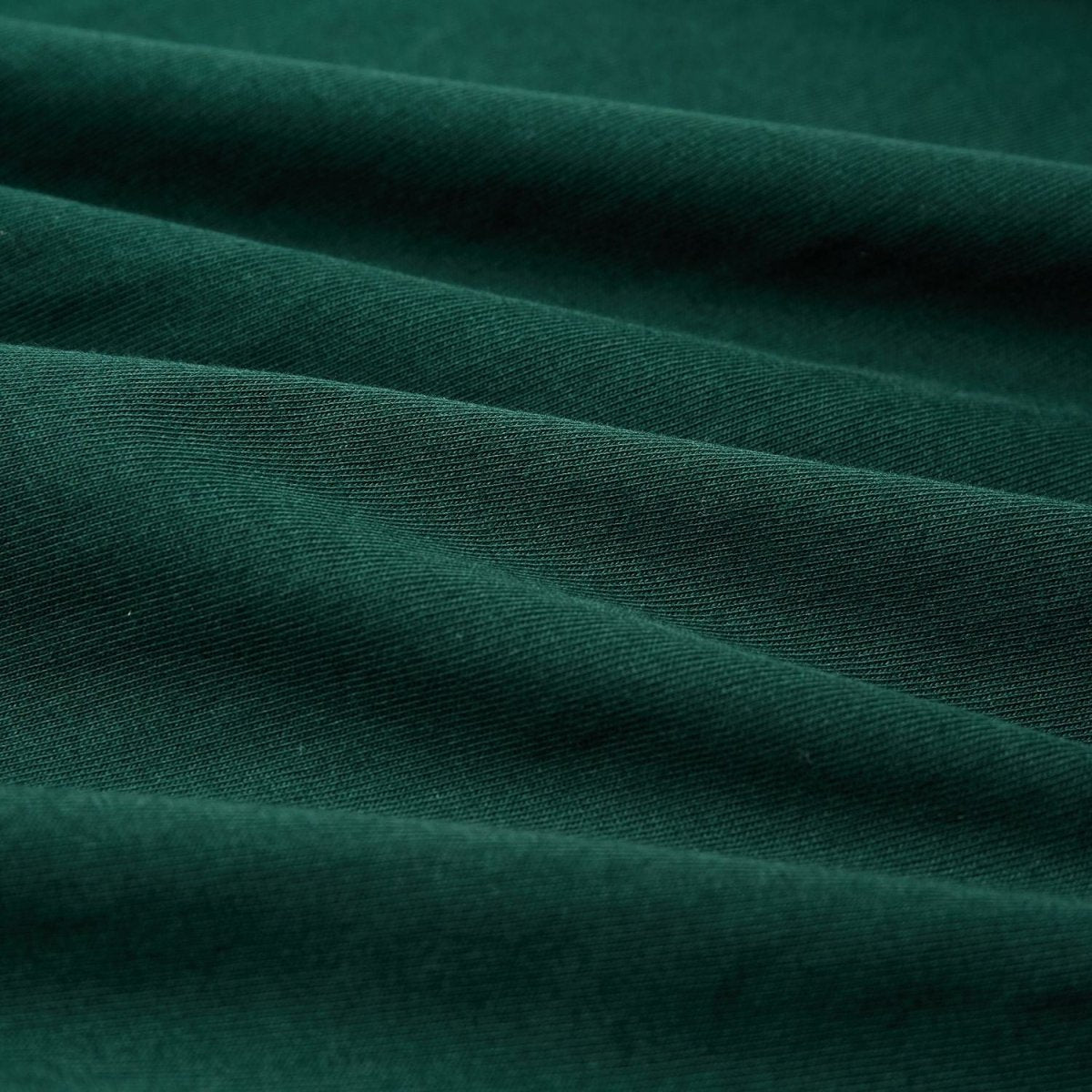 Giordano Men's Slim Fit Lion Graphic Tee - first_variant_option_2 Premium Print Tee for Giordano