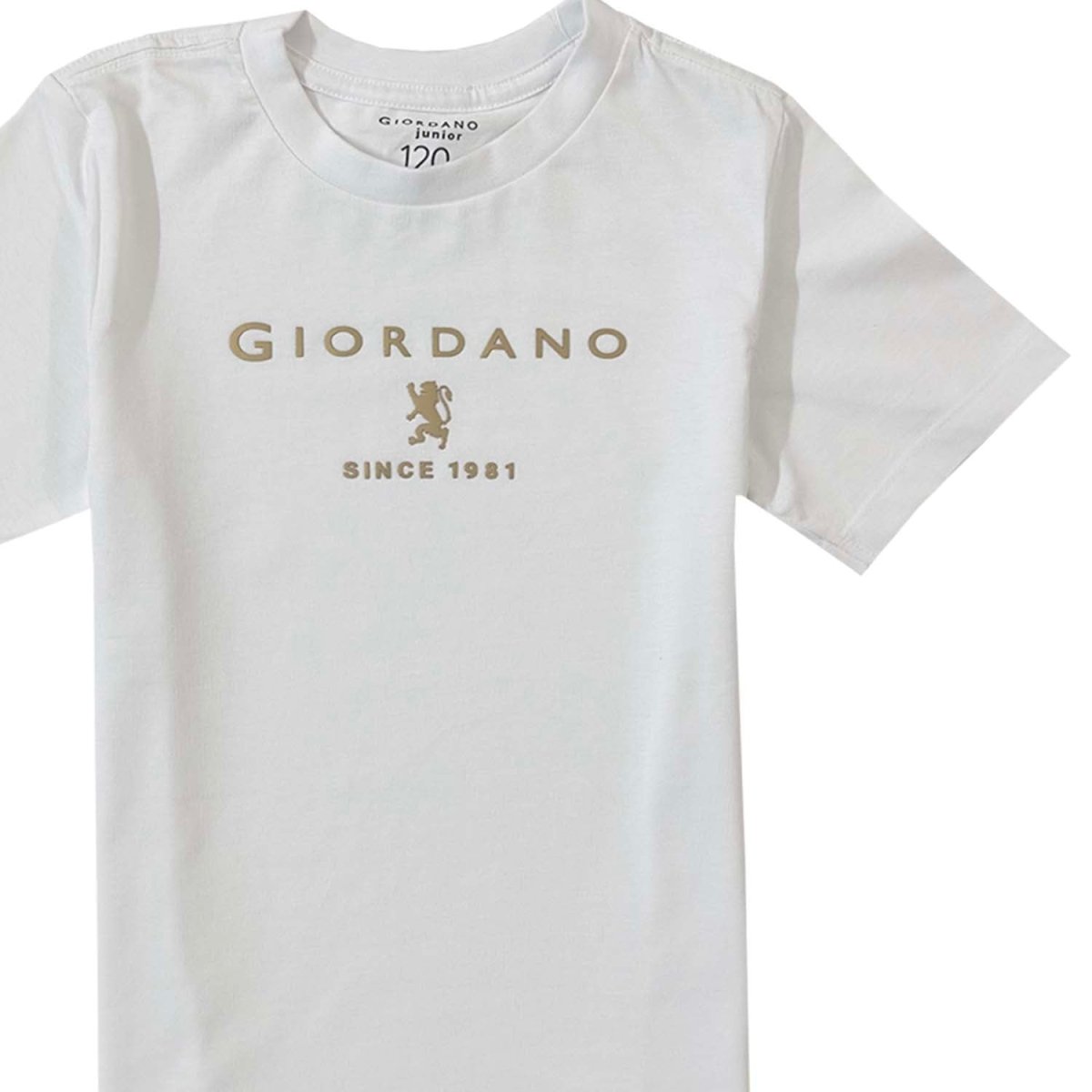 Junior Cotton Jersey Graphic Tee - Comfortable & Stylish - Giordano