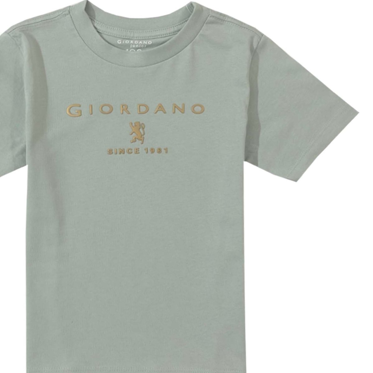 Junior Cotton Jersey Graphic Tee - Comfortable & Stylish - Giordano