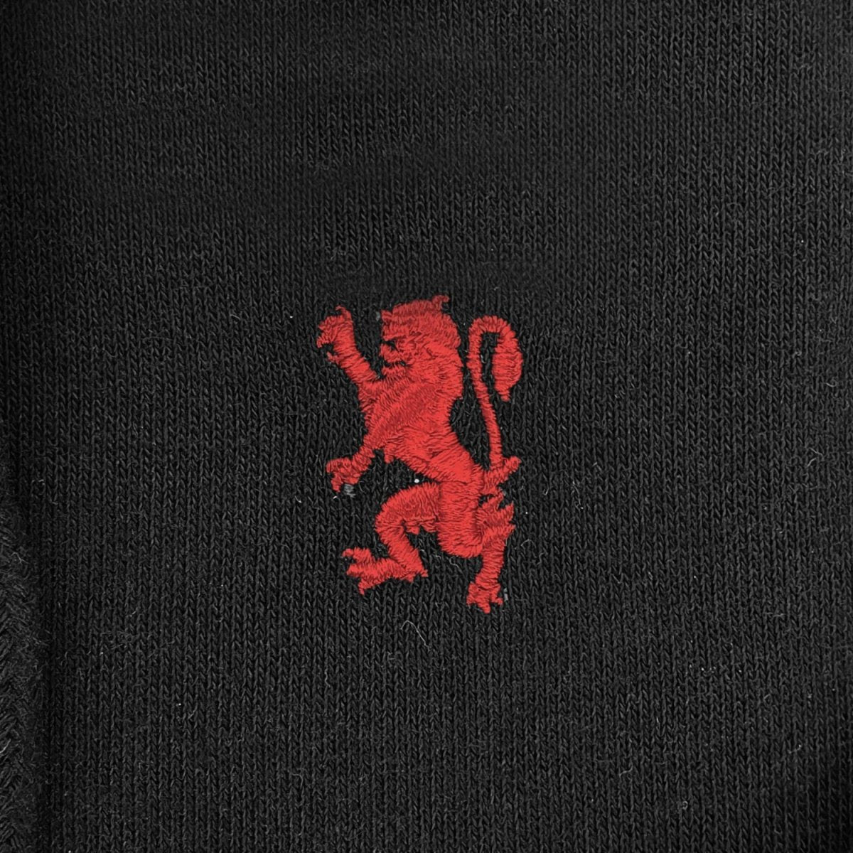 Giordano Kids Cotton Polyester French Terry Jacket Hoodie With Lion Embroidery - Premium Hoodie