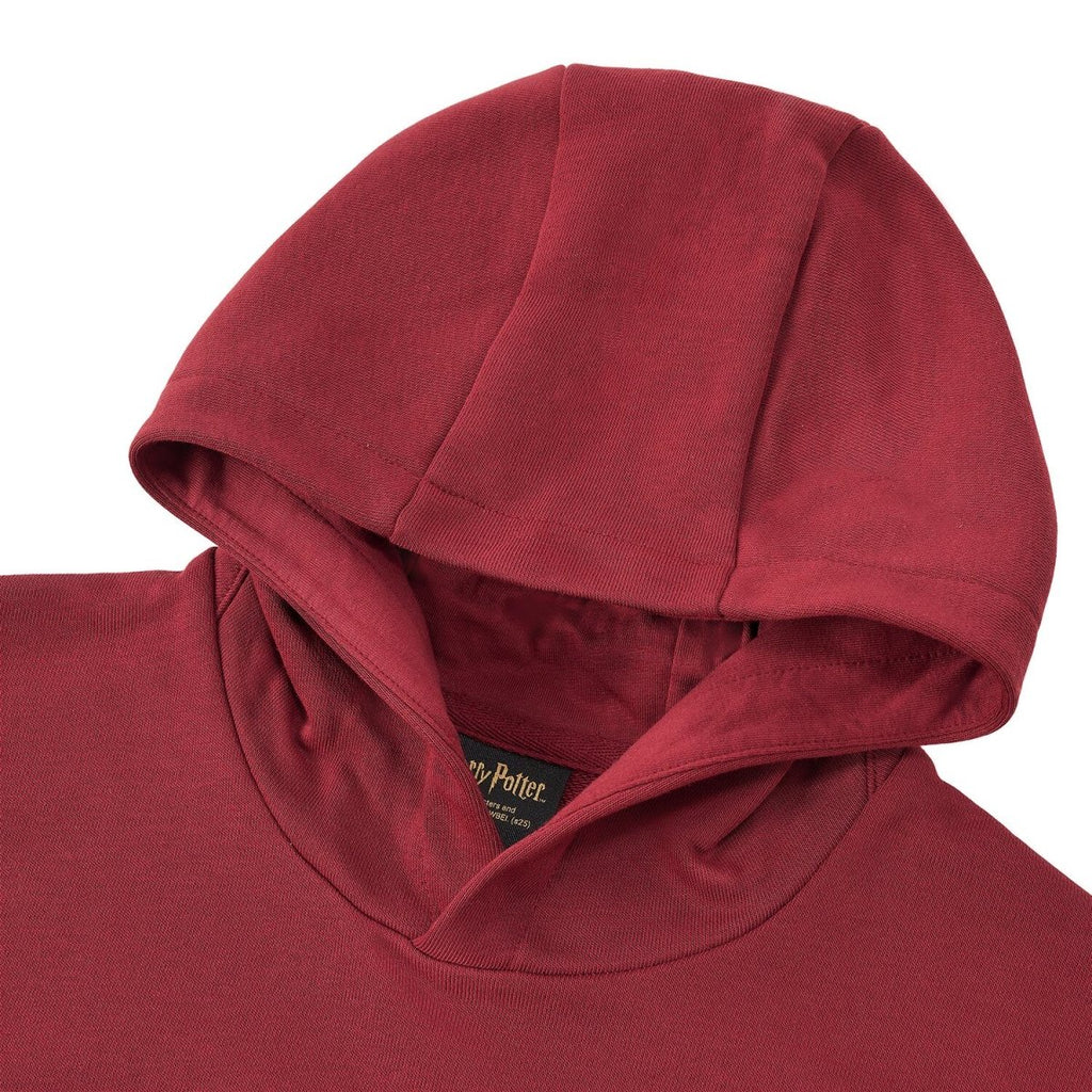 Kid's Cotton Polyester Harry Potter Printed Hoodie - Limited Edition Collection 4 Y - Shop Giordano