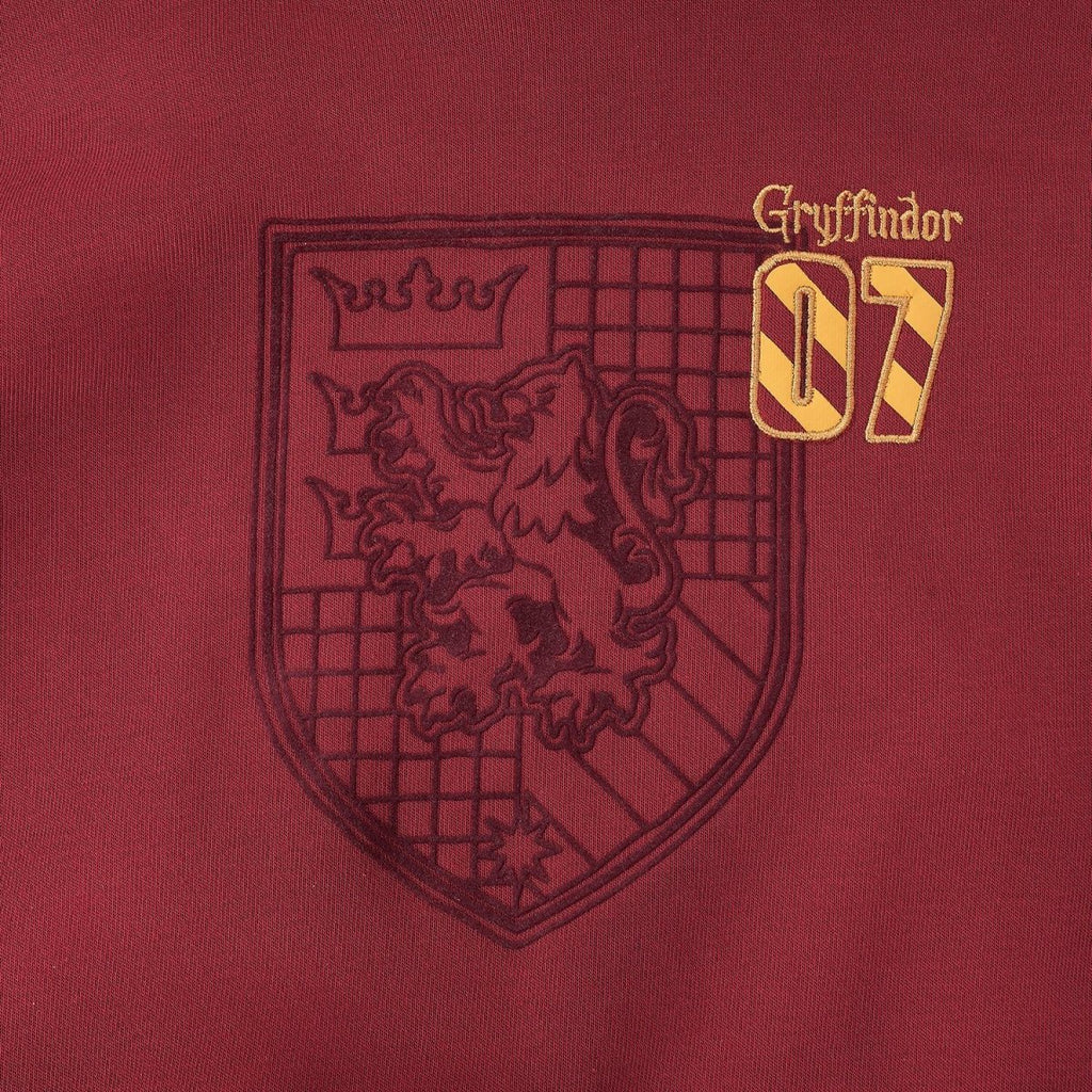 Kid's Cotton Polyester Harry Potter Printed Hoodie - Limited Edition Collection 4 Y - Shop Giordano