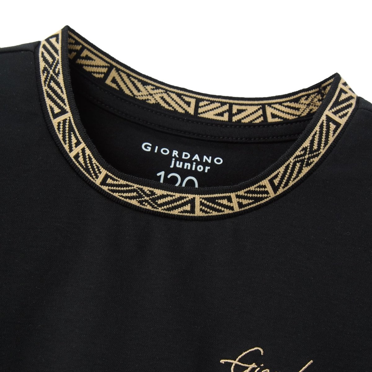 Kids' Embroidered Tee: Soft Cotton, Classic Style, Everyday Comfort 100 - Shop Giordano