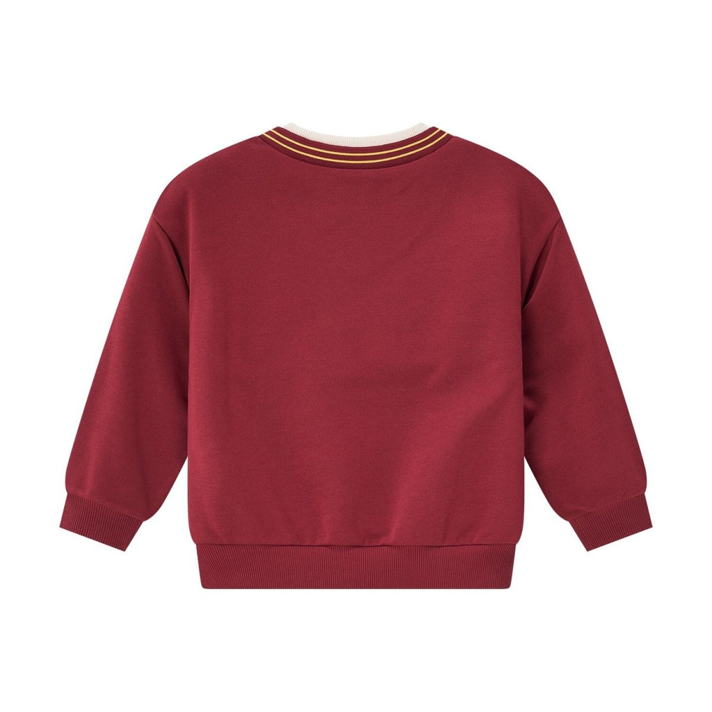 Kid's Harry Potter Printed Cotton Plolyester Sweatshirt - Limited Edition Collection 4 Y - Shop Giordano