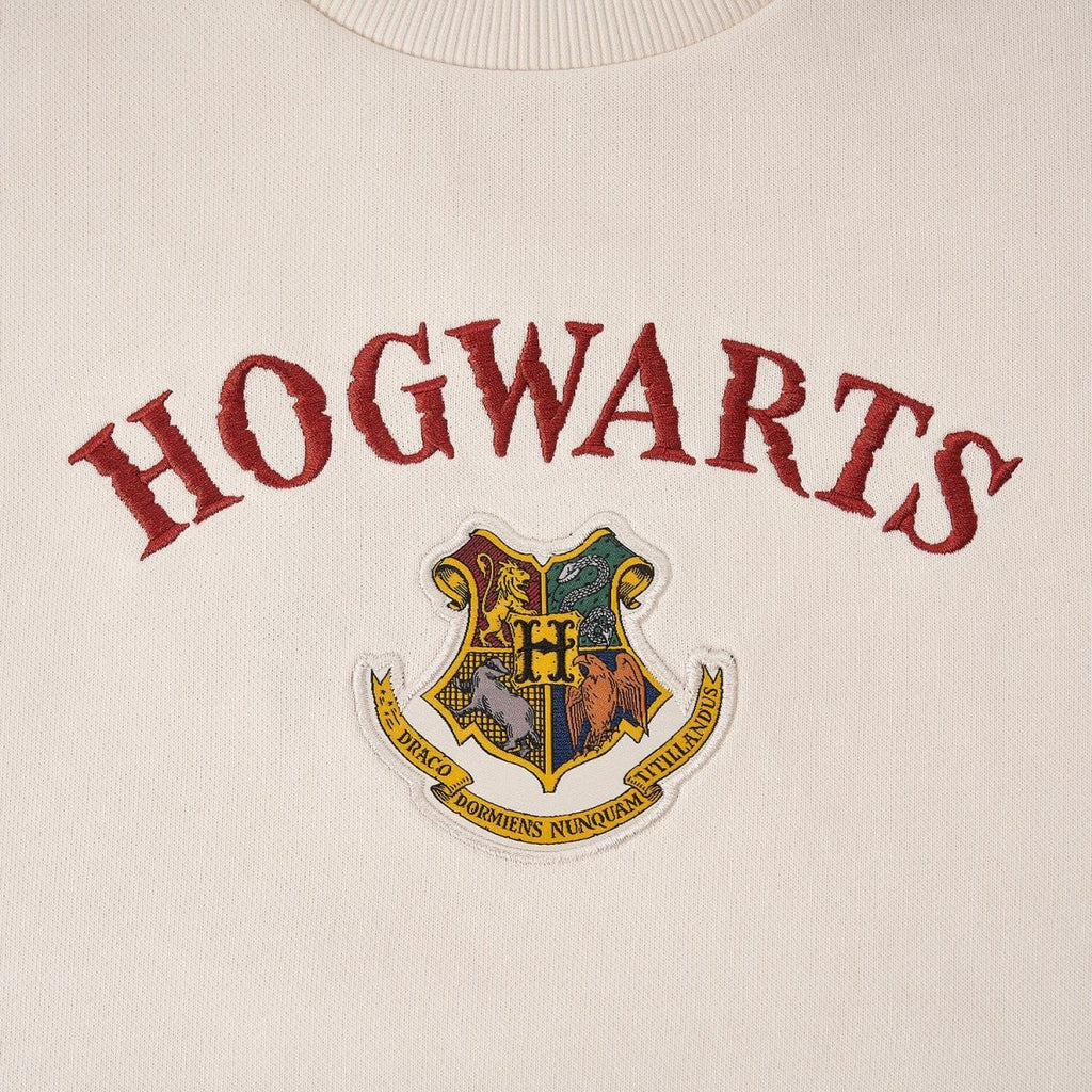 Kid's Harry Potter Printed Sweatshirt - Limited Edition Collection Cotton Polyester 4 Y - Shop Giordano