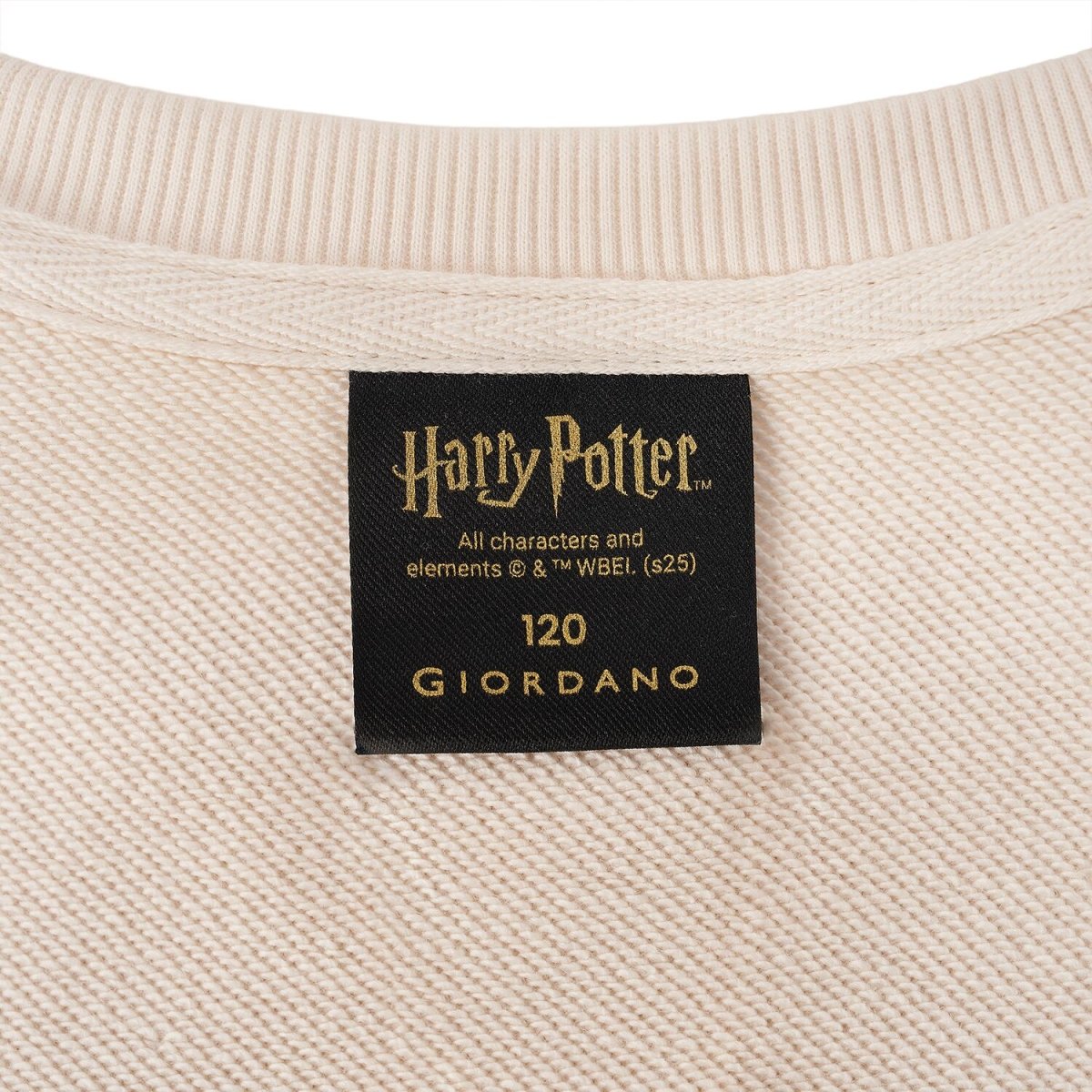 Kid's Harry Potter Printed Sweatshirt - Limited Edition Collection Cotton Polyester 4 Y - Shop Giordano