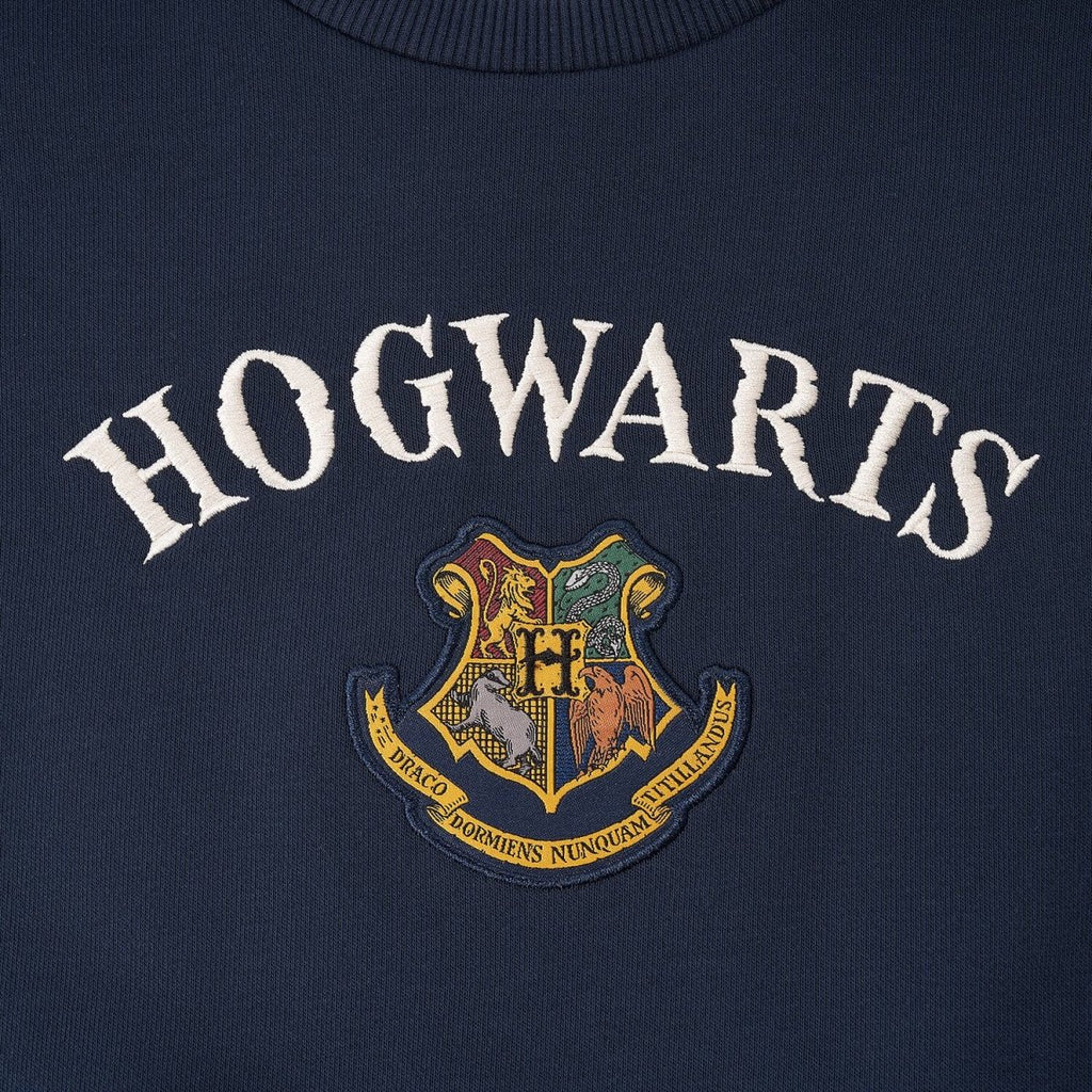 Kid's Harry Potter Printed Sweatshirt - Limited Edition Collection Cotton Polyester 4 Y - Shop Giordano