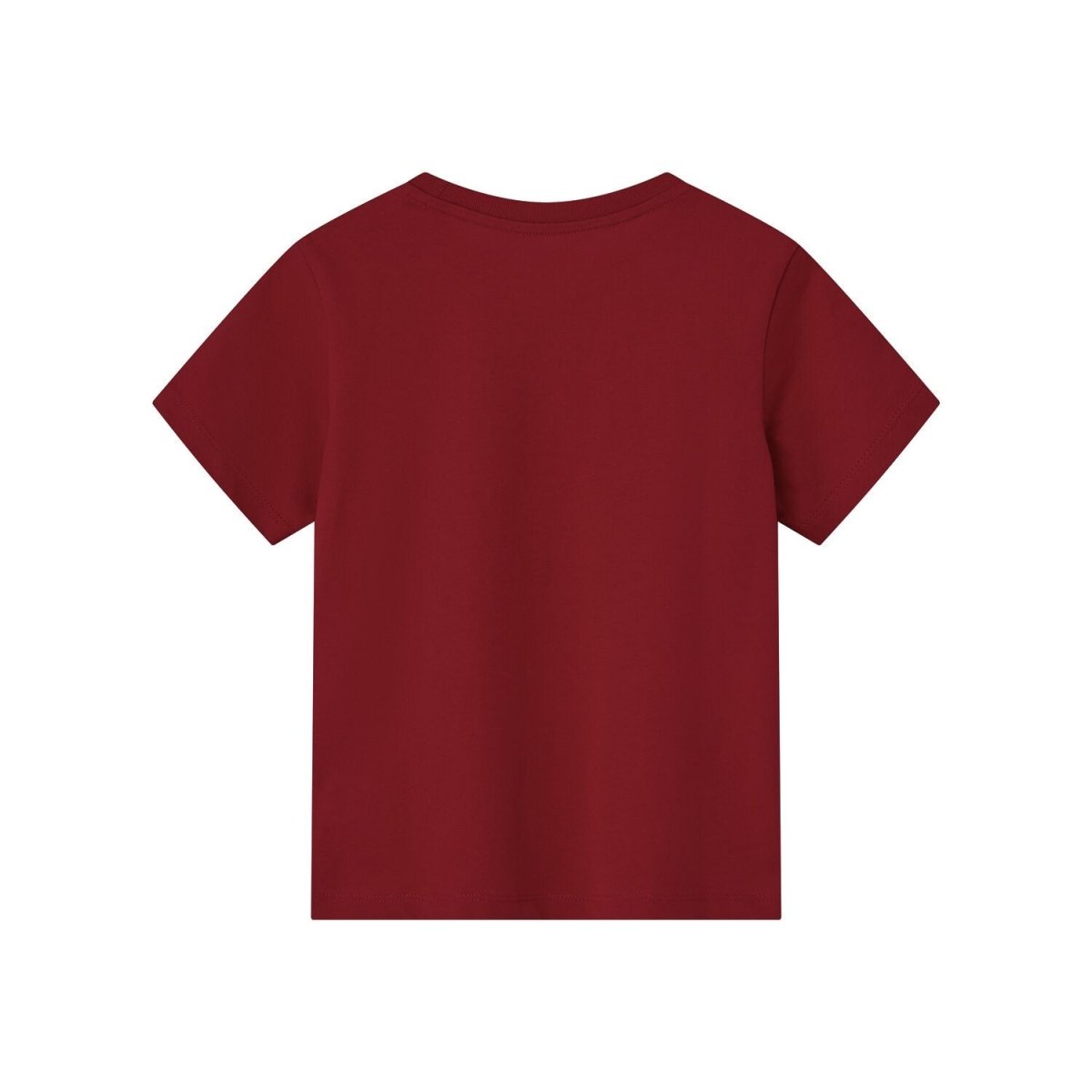 Giordano Kid's Holiday Graphic Print Regular Fit Cotton Tee - Premium Print Tee