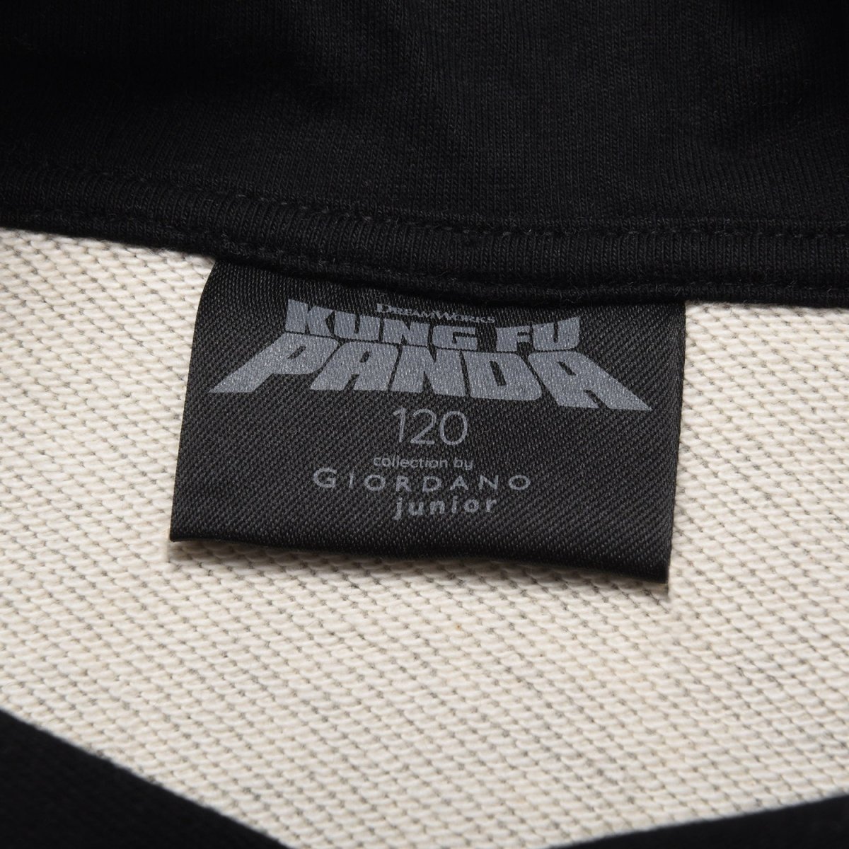 Kids Kung Fu Panda Series French Terry Hoodie - Giordano