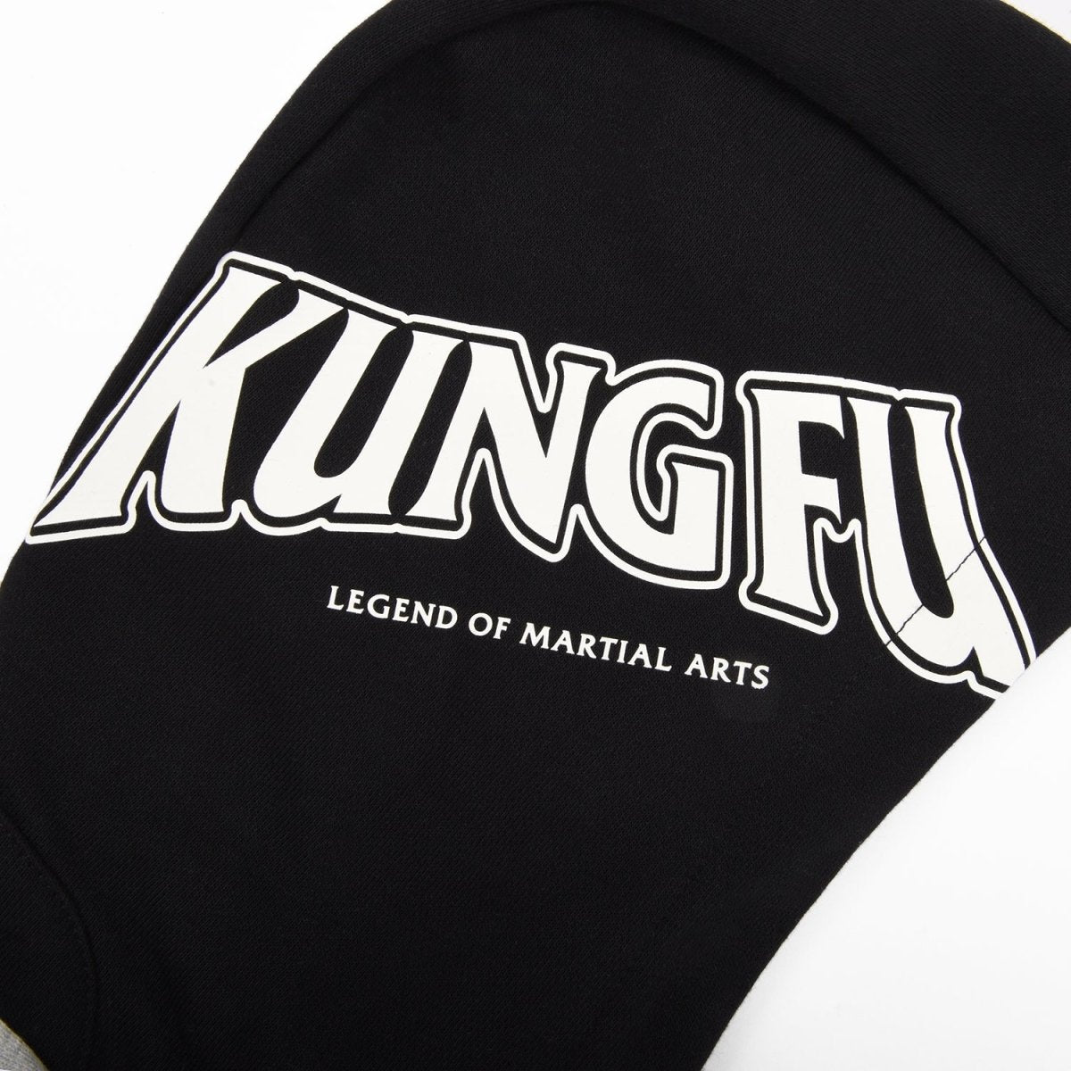 Kids Kung Fu Panda Series French Terry Hoodie - Giordano