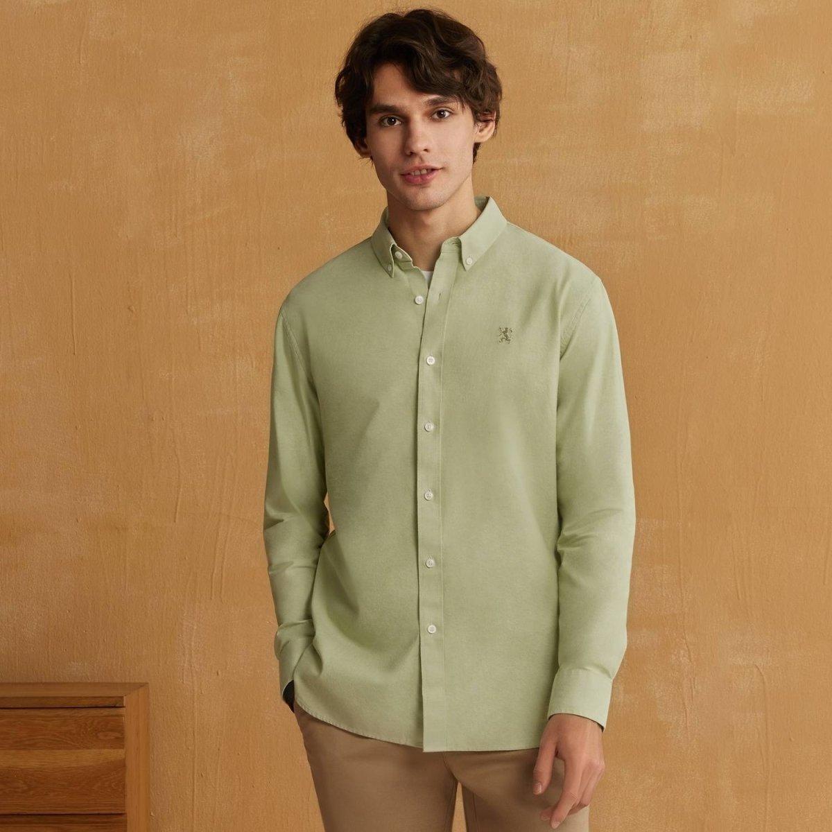 Men's Cotton Oxford Shirt - Small Lion Embroidery, Slim Fit, Full Button - Giordano