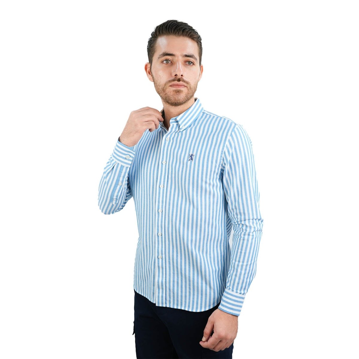 Men's Cotton Oxford Shirt - Small Lion Embroidery, Slim Fit, Full Button - Giordano
