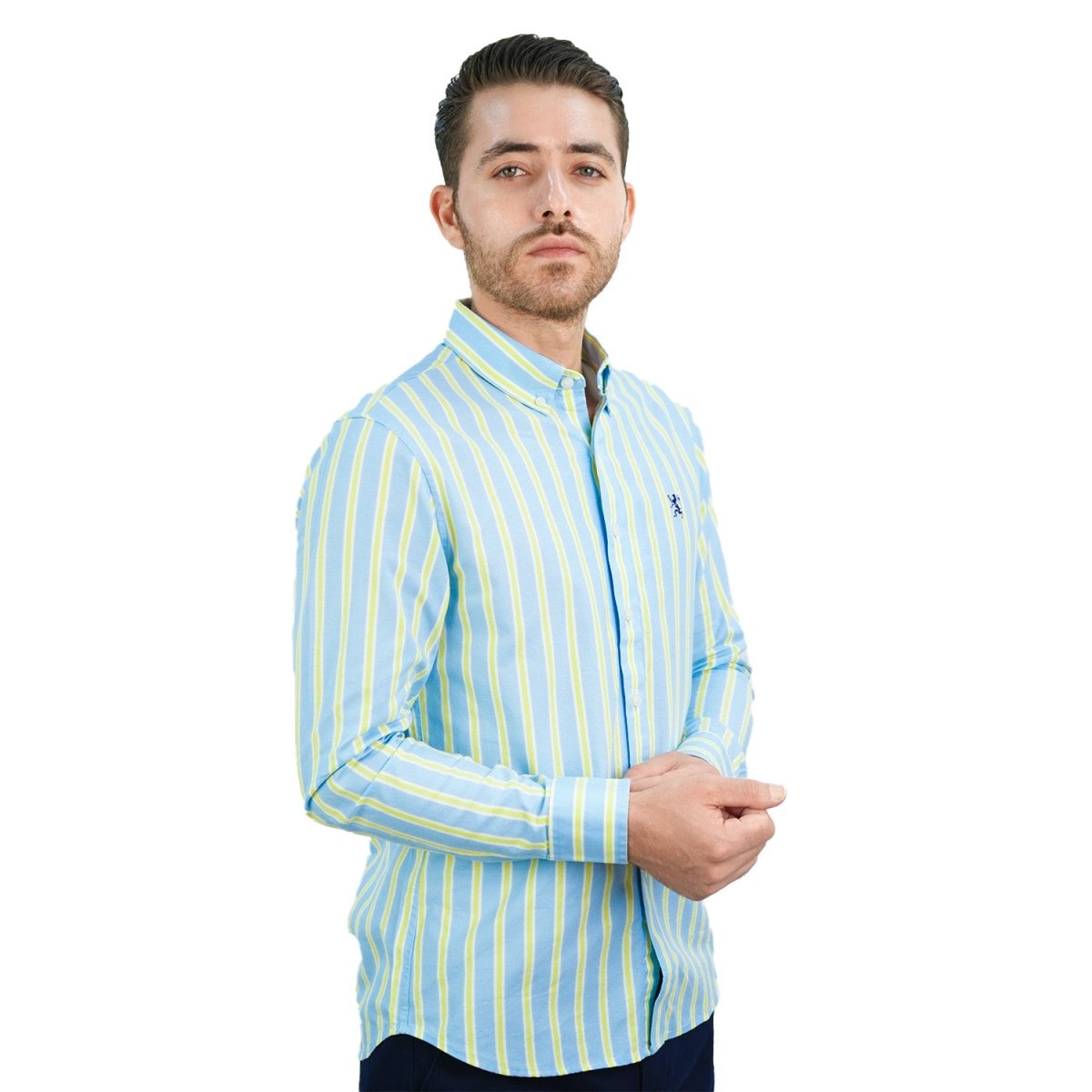 Men's Cotton Oxford Shirt - Small Lion Embroidery, Slim Fit, Full Button - Giordano