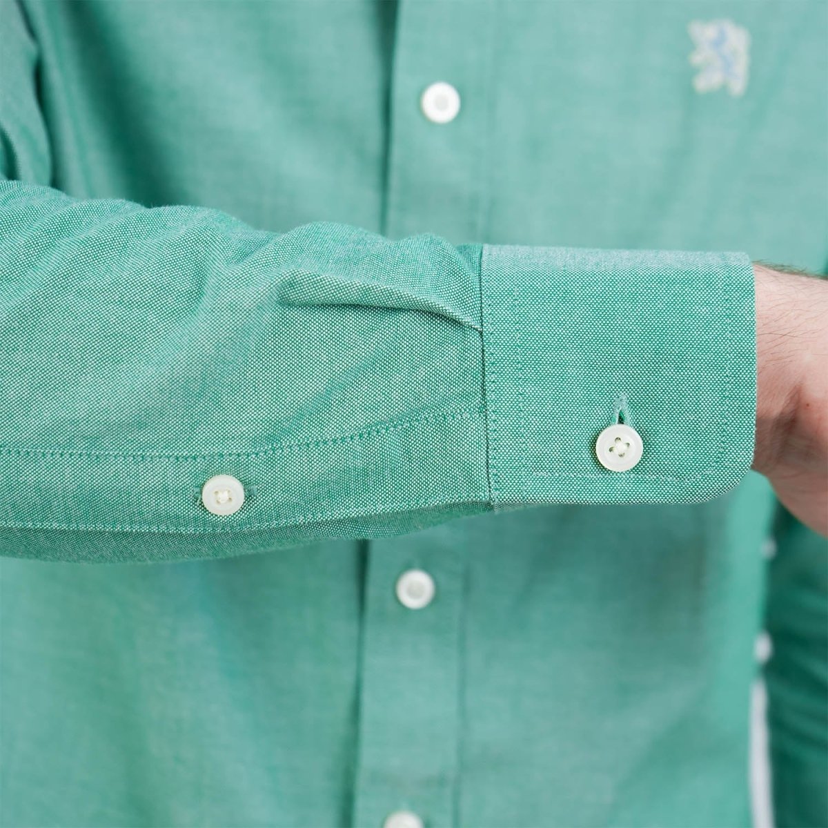 Men's Cotton Oxford Shirt - Small Lion Embroidery, Slim Fit, Full Button - Giordano