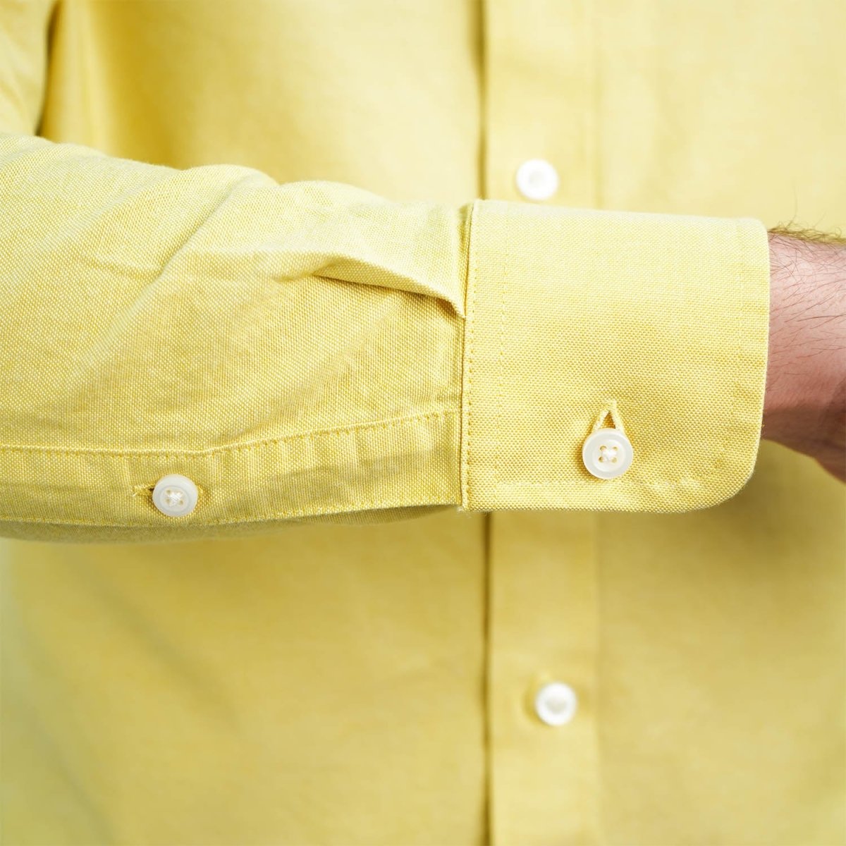 Men's Cotton Oxford Shirt - Small Lion Embroidery, Slim Fit, Full Button - Giordano