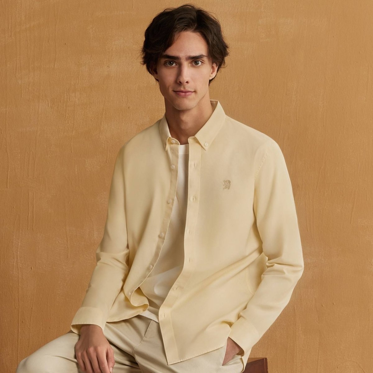 Men's Cotton Oxford Shirt - Small Lion Embroidery, Slim Fit, Full Button - Giordano