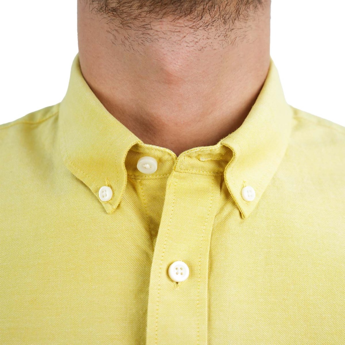 Men's Cotton Oxford Shirt - Small Lion Embroidery, Slim Fit, Full Button - Giordano