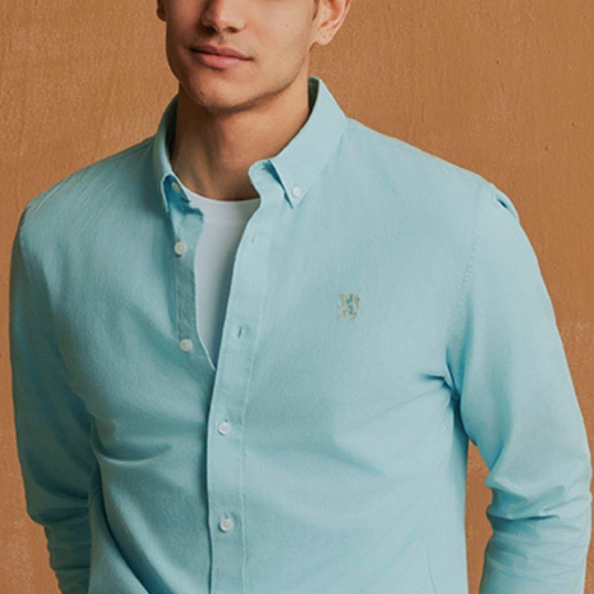 Men's Cotton Oxford Shirt - Small Lion Embroidery, Slim Fit, Full Button S - Shop Giordano