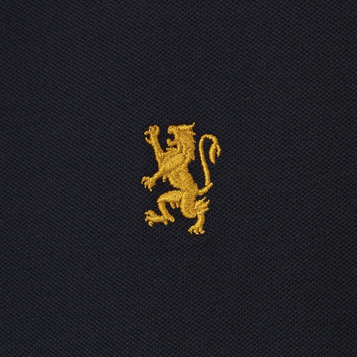 Men's Embroidered Bold Polo - Slim Fit, Cotton Lycra Pique - Giordano
