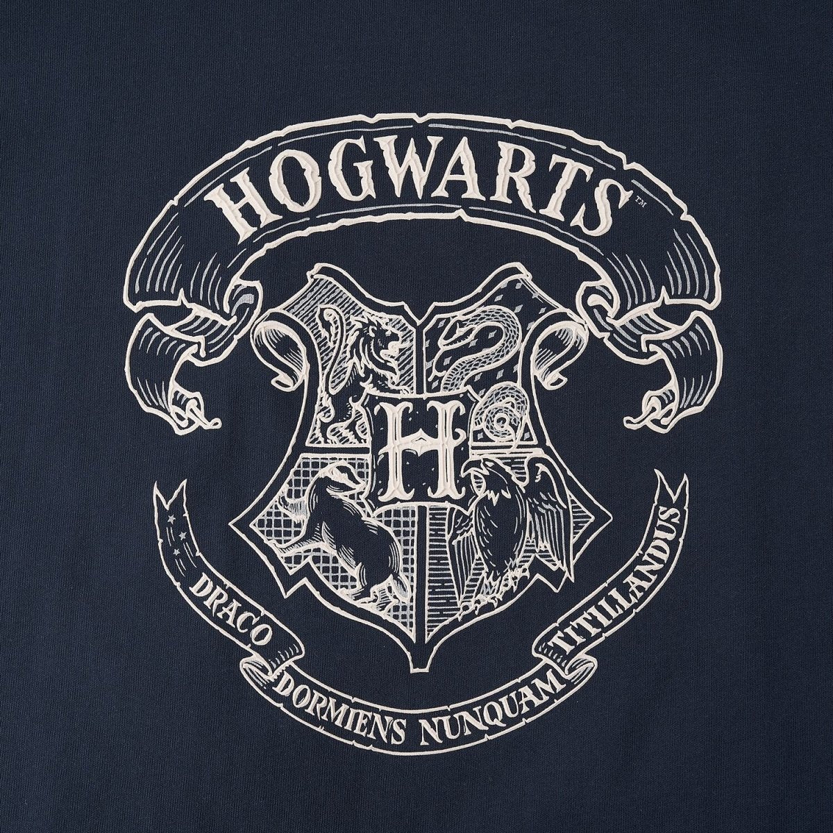 Women Cotton Harry Potter Crop Printed Tee - Limited Edition Collection S - Shop Giordano