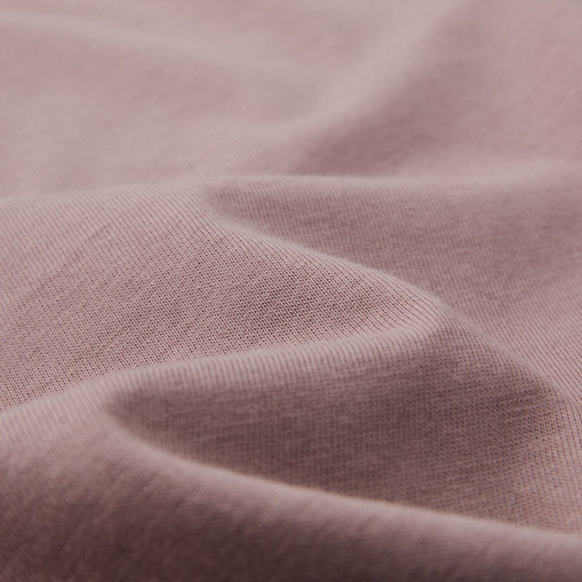 Women’S Regular Fit Crew Neck Cotton Jersey Tee | Online Exclusive S - Shop Giordano