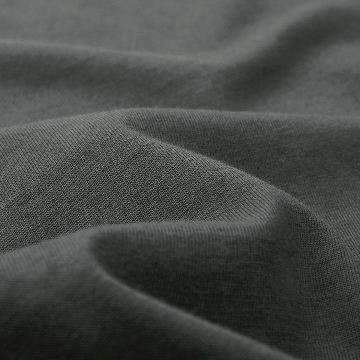 Women’S Regular Fit Crew Neck Cotton Jersey Tee | Online Exclusive S - Shop Giordano