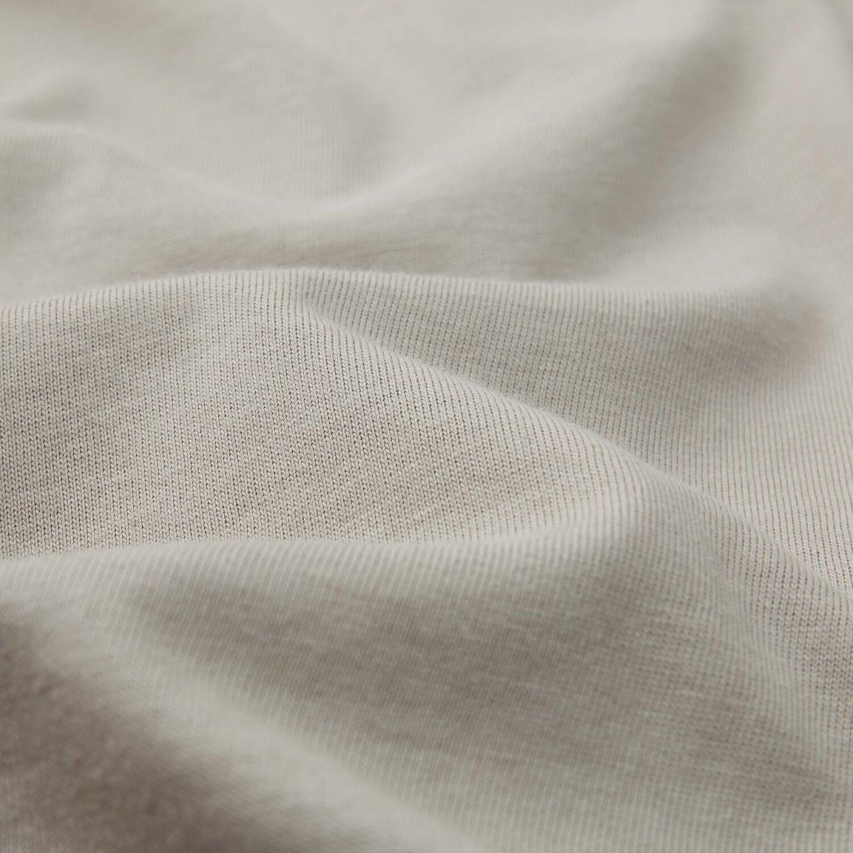 Women’S Regular Fit Crew Neck Cotton Jersey Tee | Online Exclusive S - Shop Giordano